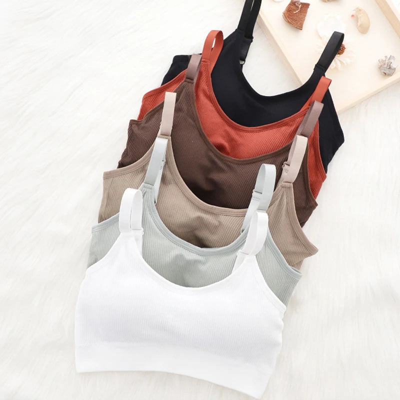 Back to Basics Sports Bra