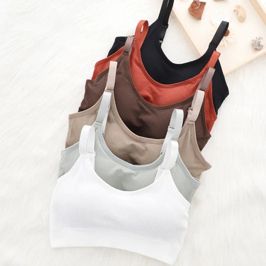 Back to Basics Sports Bra